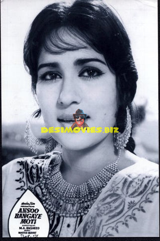 Lollywood Stars