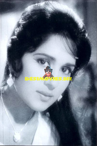 Lollywood Stars
