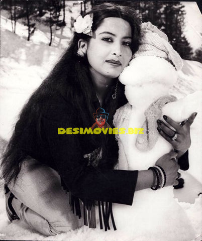 Lollywood Stars