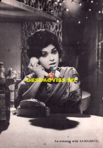Lollywood Stars