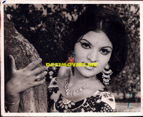 Lollywood Stars