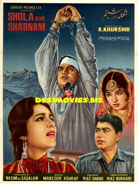 Shola Aur Shabnam (1967) Original Poster
