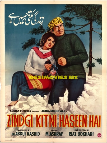 Zindagi Kitni Haseen Hai (1969) Poster - www.desimovies.biz