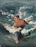 Flipper (1965) Press Advert - www.desimovies.biz