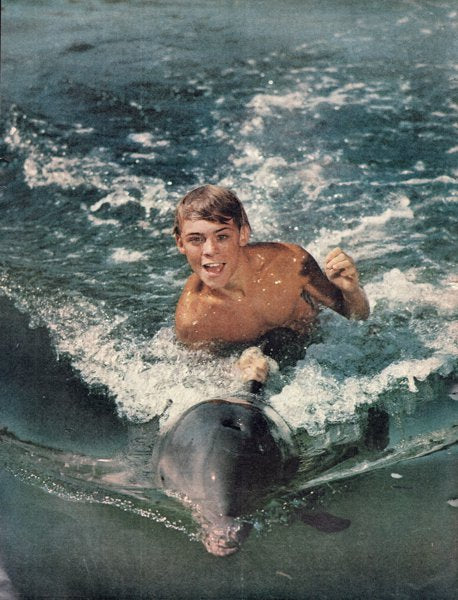 Flipper (1965) Press Advert - www.desimovies.biz