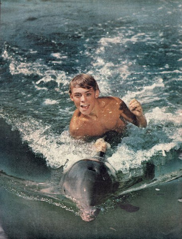 Flipper (1965) Press Advert