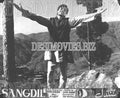 Sangdil (1968) Movie Still 3 - www.desimovies.biz