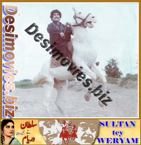 Sultan Tey Waryam (1981) Movie Still 6 - www.desimovies.biz