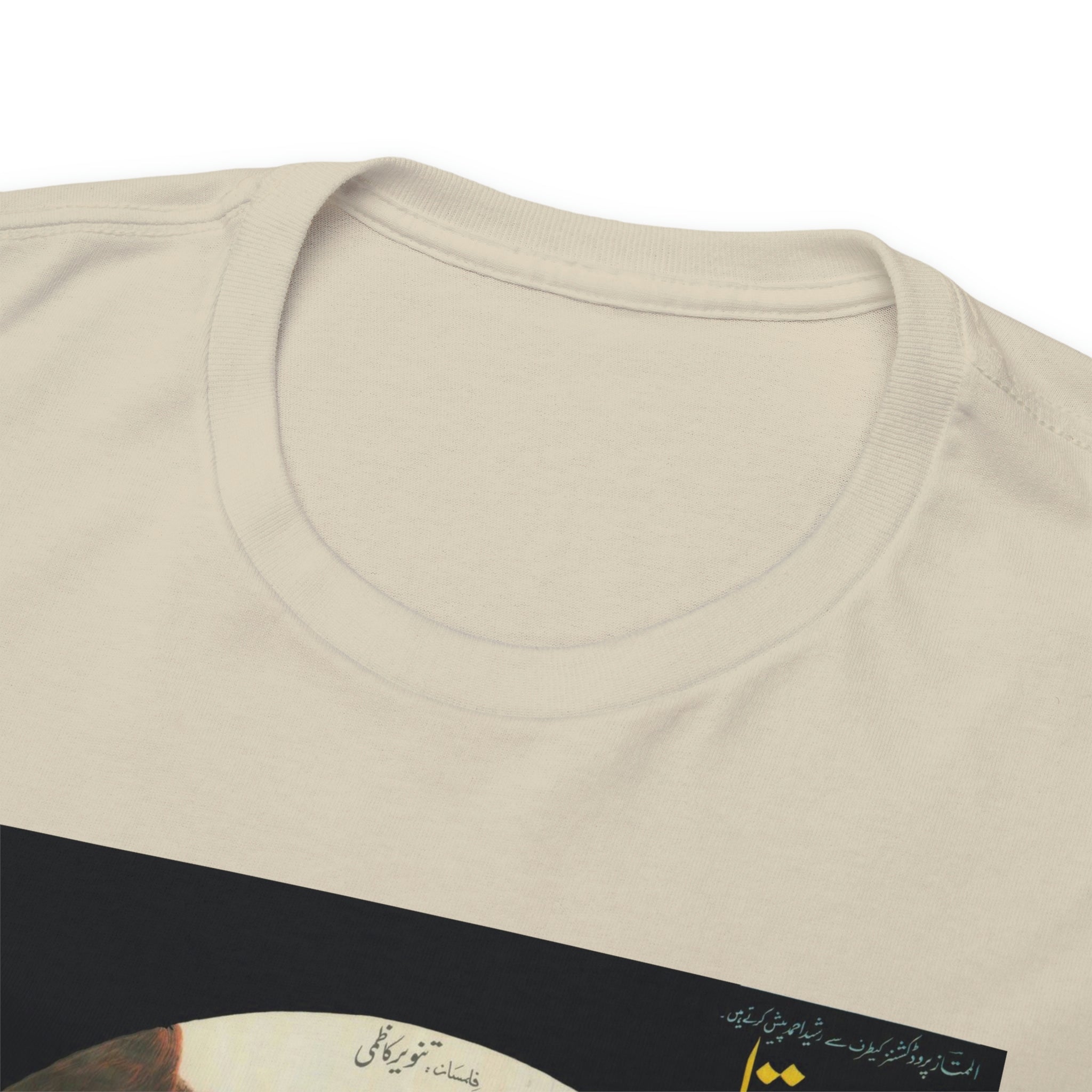 Chan Cheeta - Lollywood - Unisex Heavy Cotton Tee - www.desimovies.biz