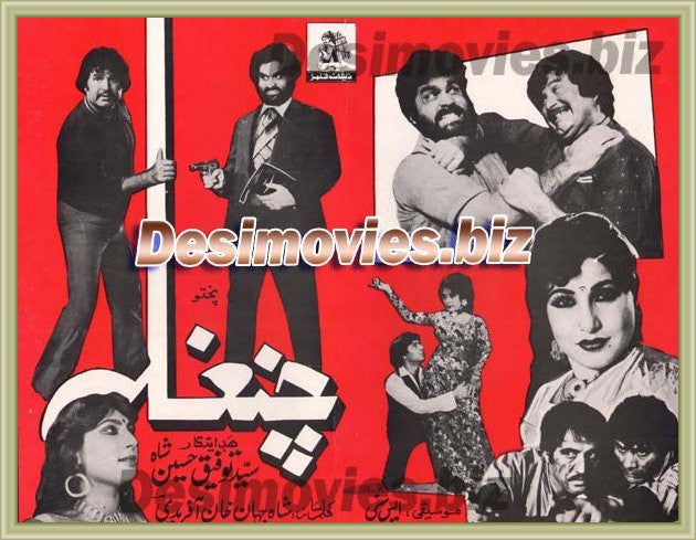 Changhla (1984) Lollywood Original Booklet