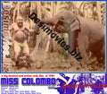 Miss Colombo  (1984) Movie Still 5 - www.desimovies.biz