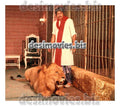 Haebat Khan (1984) Movie Still - www.desimovies.biz