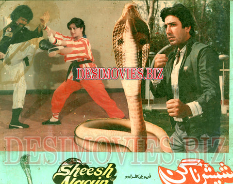 Sheesh Nagin (1988)  Movie Still 1 - www.desimovies.biz