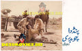 Pind Da Chuadhry (Unreleased-1970) Movie Still 5 - www.desimovies.biz