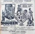 Shaheen (1977) Press Advert - Karachi 1977 - www.desimovies.biz