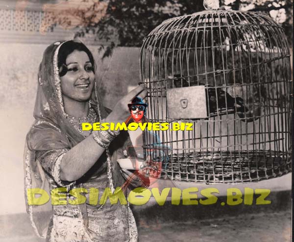 Sofia Bano (Lollywood Star) Movie Still 1 - www.desimovies.biz