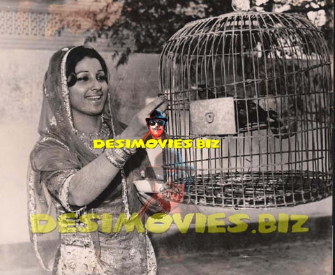 Sofia Bano (Lollywood Star) Movie Still 1 - www.desimovies.biz