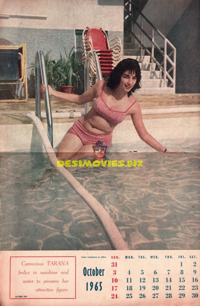 Tarana - Curvaceous Pin Up Calendar Girl - 1965 - www.desimovies.biz