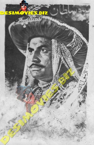 Tipo Sultan (1977) Original Poster Card - www.desimovies.biz