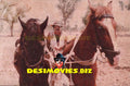 Zabata (1993) Movie Still 20 - www.desimovies.biz
