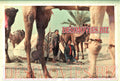Deewanay Do (1985) Movie Still - www.desimovies.biz
