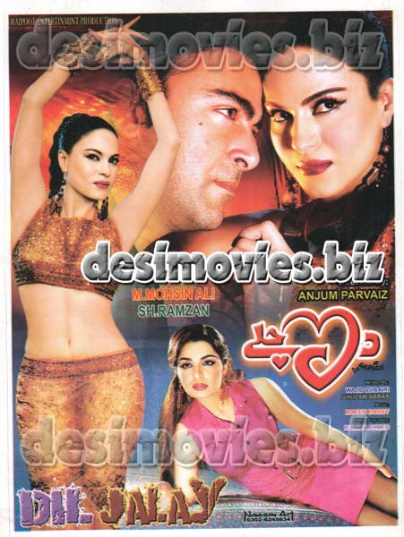 Dil Jalay  (2014) Original Booklet - www.desimovies.biz