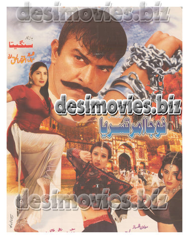Foja Amritsaria (2003)  Lollywood Original Poster