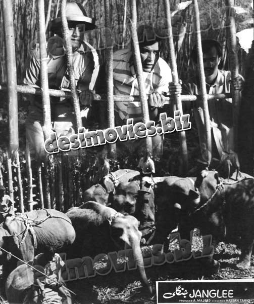 Janglee (Unreleased 1965) Movie Still 1 - www.desimovies.biz