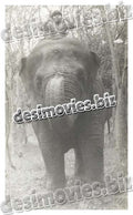 Jangli Mera Naam (1992) Movie Still - www.desimovies.biz