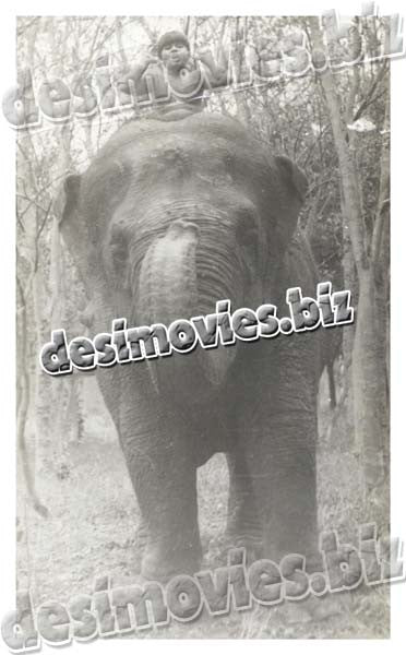 Jangli Mera Naam (1992) Movie Still - www.desimovies.biz