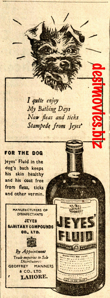 Jeyes Fluid for the Dog (1947) Press Advert 1947