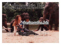 Jungle Queen (2000) Movie Still 1 - www.desimovies.biz