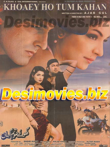 Khoaey Ho Tum Kahan (2001) Full Size Original Poster - www.desimovies.biz