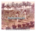 Neend Hamari Khawab Tumhare (1971)  Movie Still 5 - www.desimovies.biz