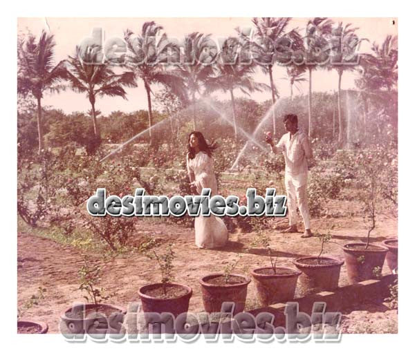 Neend Hamari Khawab Tumhare (1971)  Movie Still 5 - www.desimovies.biz