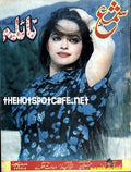 Naila (1992) - www.desimovies.biz