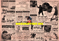 Movie Newspaper Adverts (1973) April - www.desimovies.biz