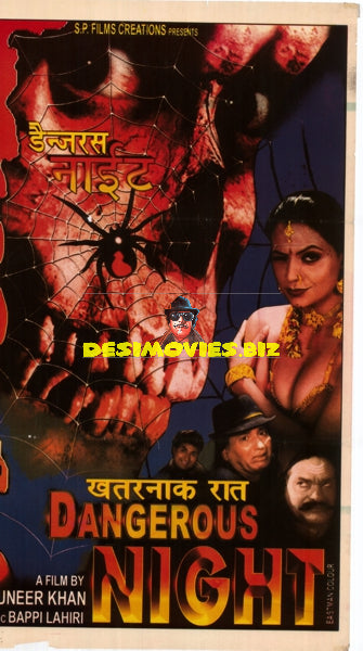 Dangerous Night (2003) - www.desimovies.biz