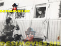 Soorat aur Seerat (1975) Movie Still 1 - www.desimovies.biz