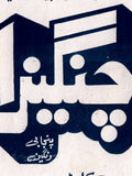 Changeza (1989) - Original Posters & Booklet - www.desimovies.biz