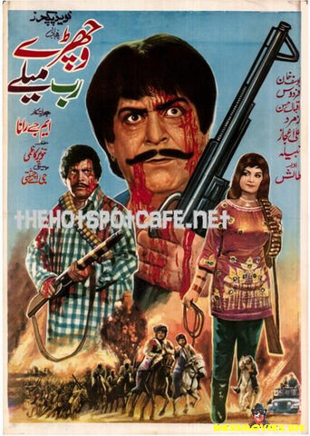 Vichray Rab Milay (1970) - www.desimovies.biz