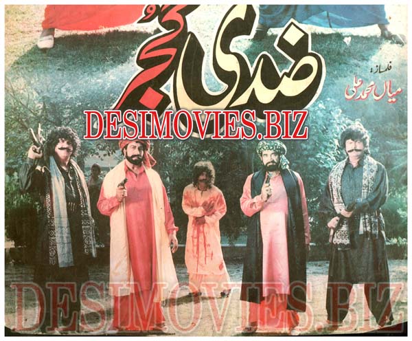 Ziddi Gujjar (1994) Movie Still 1