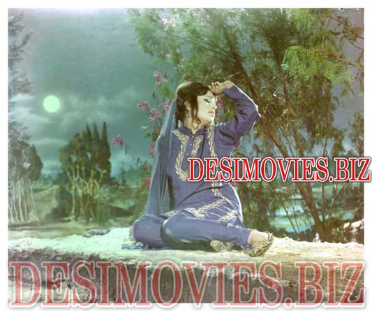 Zubaida (1976) Movie Still 1 - www.desimovies.biz